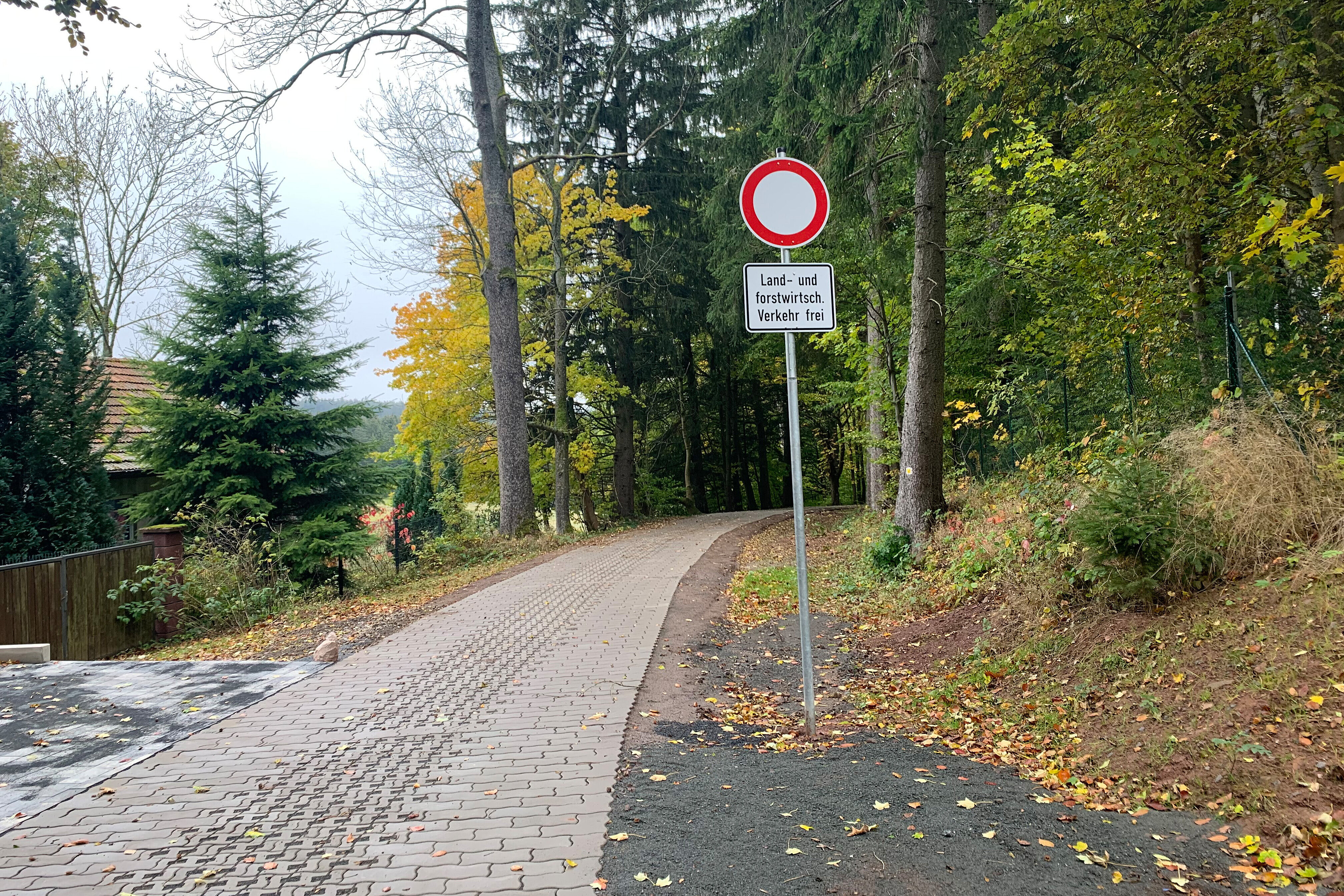 News Bild 981