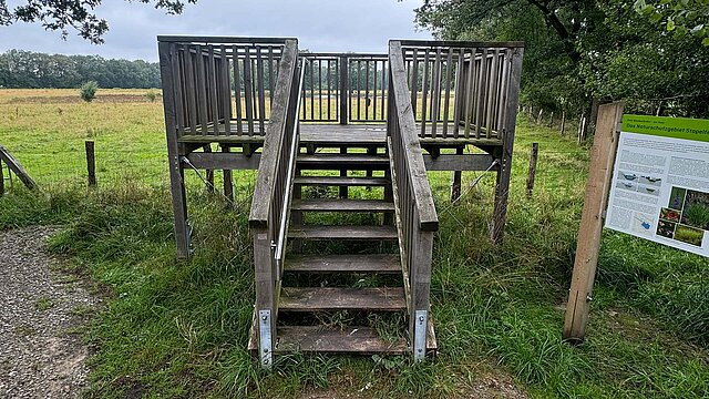 Aussichtsplattform im Naturschutzgebiet Stapelfelder Moor.