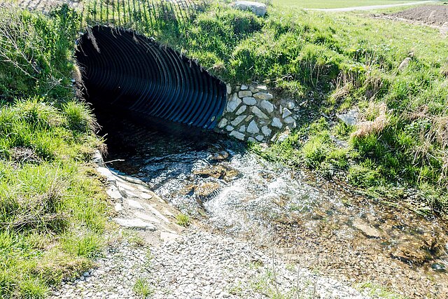 Nahe der Kleinstadt Geseke im Kreis Soest plätschert zwischen Feldern der Bach Osterschledde, der zu einem Flora-Fauna-Habitat gehört und damit einen hohen Schutzstatus genießt.