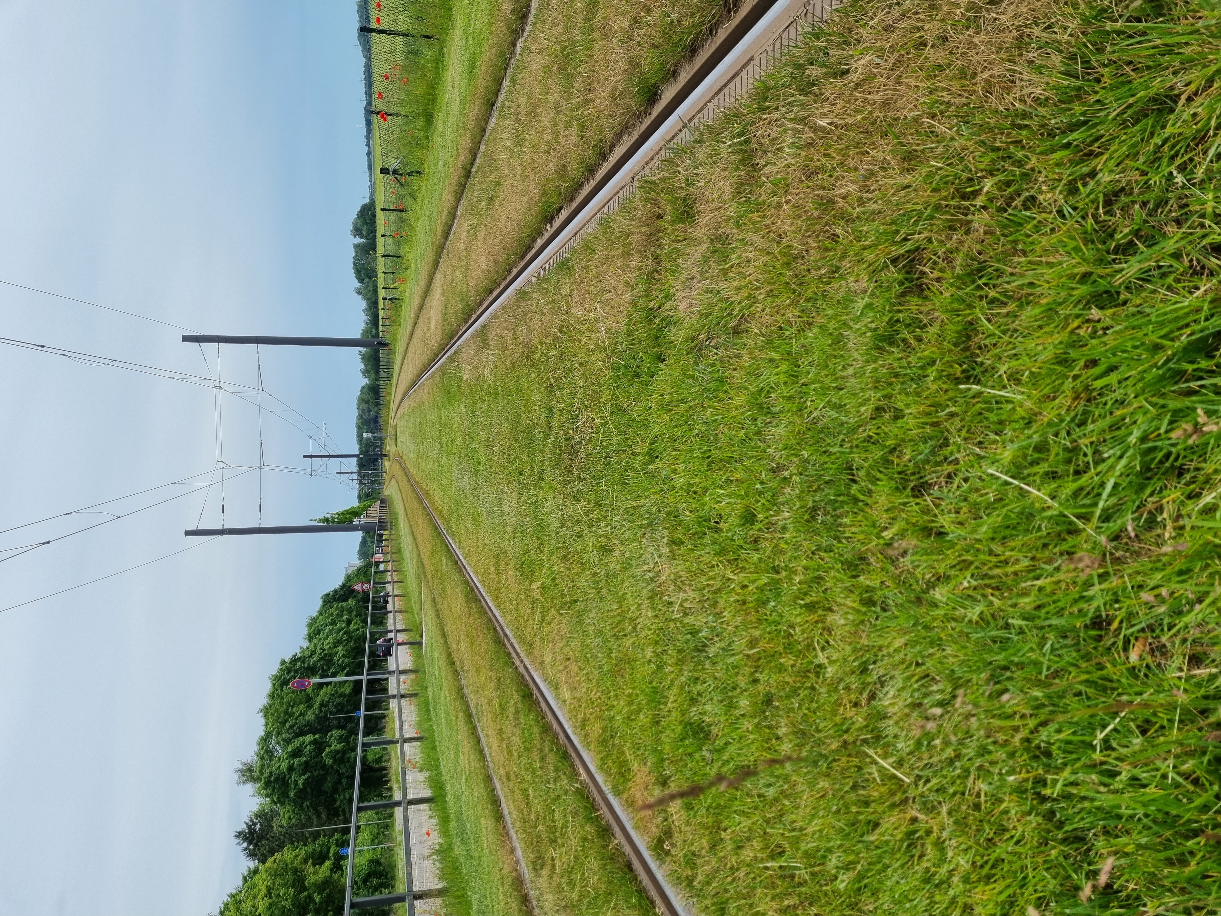 News Bild 1006