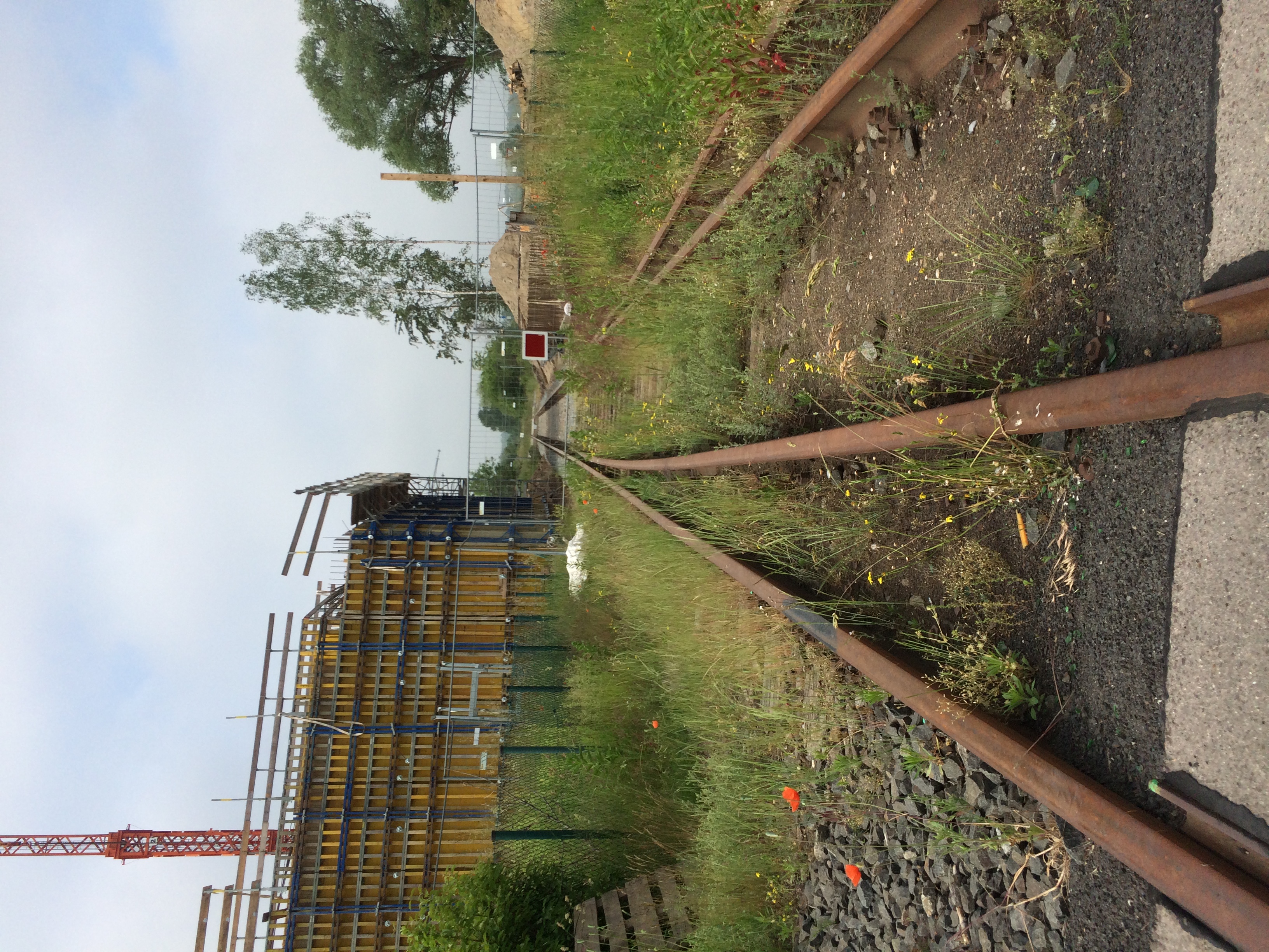 News Bild 638